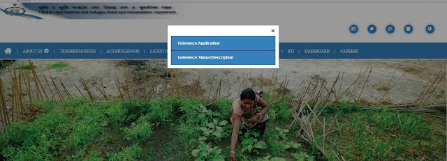 Grienvence options Grienvence options
